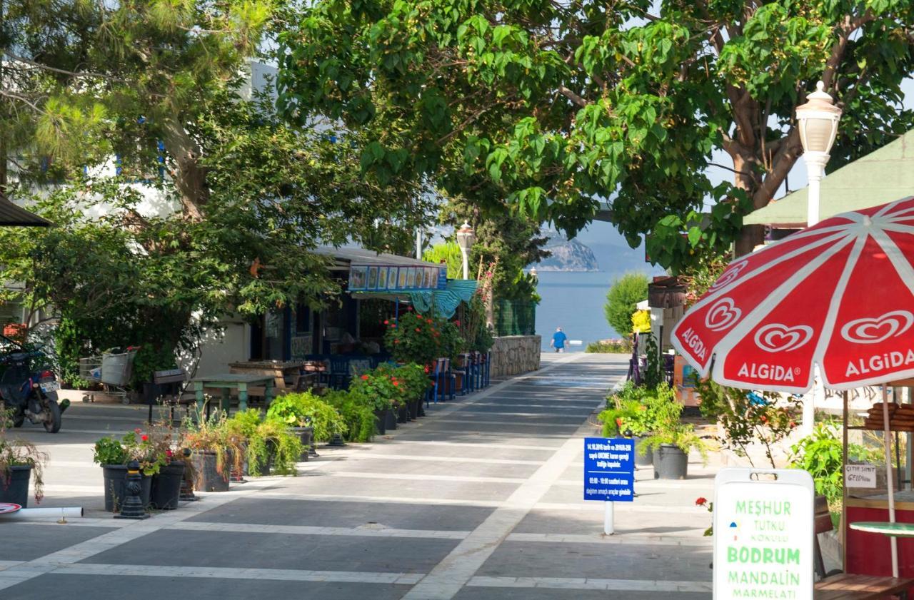 Bodrum Infinity 图尔古特雷斯 外观 照片